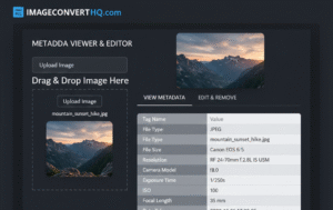 Metadata Editor